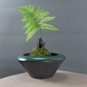 Large Mouth Ceramic Flower Pot Zen Style Water Cultivation Container Bonsai Bowl with Moss Ball for Indoor Garden Decor