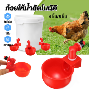 JeDa ถ้วยให้น้ำอัตโนมัติ สำหรับไก่ 4 ชิ้น 6 ชิ้น Automatic drinker