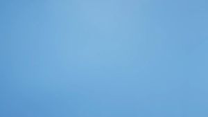 Anti-Shake L08 Gimbal Stabilizer: A Comprehensive Guide