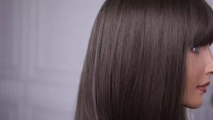 GEMMA Dark Brown Bob Synthetic Natural Hair Wig with Fluffy Bangs for Women Short Straight Wigs Heat Resistant Daily Cosplay Wig