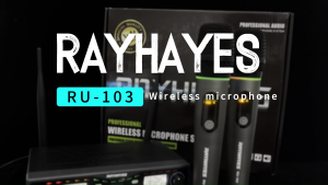 RAYHAYES RGB Wireless Microphone UHF Dual Handheld Karaoke Microphone for Girls Christmas Party