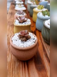 3 Type 彩色简约个性花盆 Succulent Pot Cactus Pot Zakka Minimalism Planter Pasu Seramik Putih kaktus 多肉花盆 陶瓷花盆 冰裂 植物盆