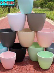 Scindapsus Aureus Hydroponic Plant Hydrocotyle Nordic Size Creative Personality Non-Porous Plastic Flower Pot Melamine Environmental Protection Material Set
