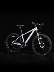 Zoom Bikes: Sepeda Gunung Rangka Aluminium 21 Kecepatan Rem Cakram Ganda