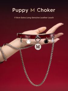 HONGMOFANG | Đạo Cụ Thu Hút Mèo Bằng Móng