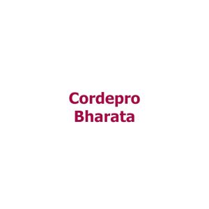 Obat Gagal Ginjal - Paru Paru - Stroke - Epilepsi Terbaik Di Indonesia CORDEPRO BHARATA 100% ORIGINAL