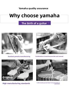 Yamaha FG800 Acoustic Electric Guitar 41/40 Inch for Beginners Men Women Folk Style Rosewood Fingerboard Spruce Top Guitar