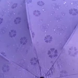 Payung Lipat motif  Dimensi Lapisan Hitam ANTI UV Magic 3D Umbrella / Ajaib Keluar Motif Saat Terkena Air Gelombang