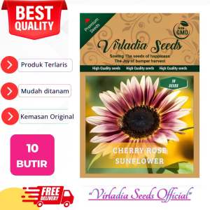 [Virladia Seeds] 10 Biji Benih Bunga Matahari Cherry Rose