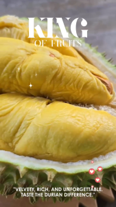 3 x Blackgold Musang King 300g Each Musang King Durian Freshly Dehusked Premium Quality Durian
