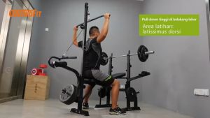 OneTwoFit Ghế tập tạ nâng cấp Có thể điều chỉnh đa cấp Trọng lượng chịu tải tối đa 300kg Gấp di động