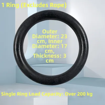 Professional Training Gymnastics Rings Indoor