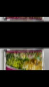 Phân Bón Đầu Trâu Max Lân 58 NPK 8-58-7+TE - Siêu Kích Tạo Mầm Hoa- (Gói 30g)