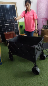 Outdoor Wagon Trolley Heavy Duty Troli Barang Shopping Cart