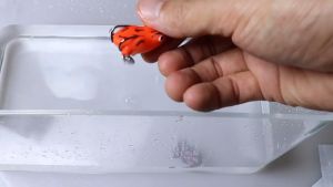 ANH Small Soft Frog Lures 3.2g 30mm 3cm Mini Katak Bait Haruan Fishing Twin Blade Katak