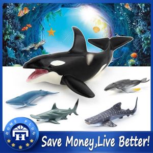 Local Delivery Sea Animal Life Model Toys: Simulation Ocean Marine Life Beluga Humpback Killer Whale Wild Animal Action Figure Toys for Children