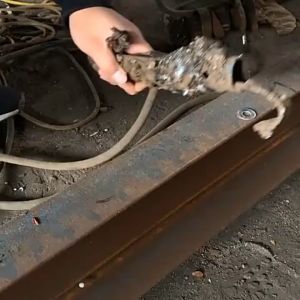 Klem Tang Las Magnet Single Head / Double Head Magnet Welding Ground Klem Magnet Tang Travo Las