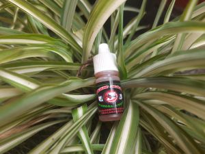 Esen Media Lumut Wangi Kemangi/Surawung Buat Babon