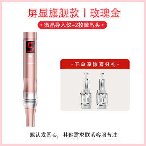 Electric Nano Microcrystal Microneedle Injector Instrument Home Beauty Salon Professional Use Needle-Free Water Light Needle