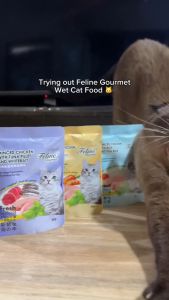 80g Feline Gourmet Pouch Cat Wet Food All Stages Adult Kitten Cats Pet Essentials Accessories