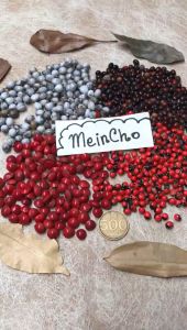 (1kg/3500biji) Kolase Biji Saga Merah Hitam Pohon Saga Telik Jali Barley Jelali Dekorasi Rustik