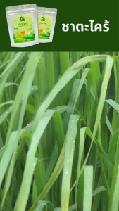 ชาตะไคร้ ตราไร่กฤติยา (Lemongrass Tea) - ชาสมุนไพรตะไคร้หอม ดื่มง่าย ได้มาตรฐาน