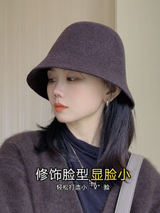 Good Style Wool Basin Hat Womens Fall and Winter New Arrival Bucket Hat Heattech K-style Easiest for Match Japanese-Style Retro Fashion Fisherman Hat