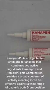 Kanapen P Mixture of Kanamycin and Penicillin Animal Solution Kanapen-P for Animals