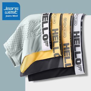 Jeanswest | Ice Silk Breathable Brief Underwear