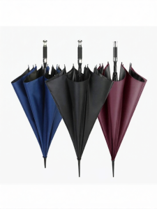 MOLORE | Customizable Automatic Outdoor Umbrella