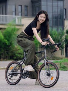 Variable Speed Road Bike