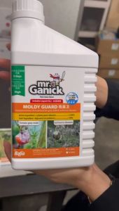 1L MR.Ganick SOLUBLE LIQIUD(SL) MOLDY GUARD good prevention & treatment for grey mold & soil borne disease