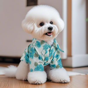 Petone dOrage | Summer Breathable Anti-Shedding Pet Clothes