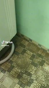 Klinbos Porselen: Pembersih Keramik Efektif & Penghilang Noda Kamar Mandi