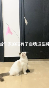 Đồ chơi cần câu Mèo có cốc hút 2 đầu tay ấn lực hút mạnh (mẫu mới) - Love Pets Shop