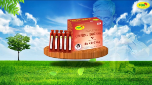 10 hộp PQA Ích Khí Thăng Dương – Hỗ Trợ Giúp Làm Giảm Triệu Chứng Sa Tử Cung Sa Trực Tràng