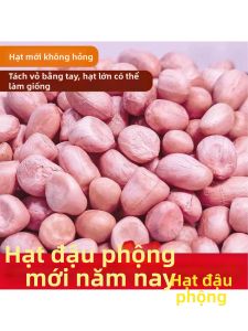 Đậu Phộng Mới Mùa 5jin