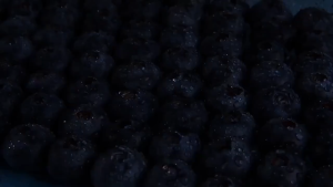 Dried Blueberries – Organic Unsweetened Low-Carb Healthy Snack in 100g or 250g