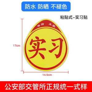 แผ่นป้ายทะเบียนรถยนต์สำหรับคนขับใหม่ แผ่นป้ายรถขนาดใหญ่ดูดซับแม่เหล็กสะท้อนแสง แผ่นป้ายรถยนต์แบบสร้างสรรค์และตลกสำหรับผู้หญิง