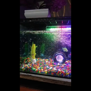Lampu LED Celup Aquarium Aquascape 40 cm L400 T4 Putih Biru Promo Murah