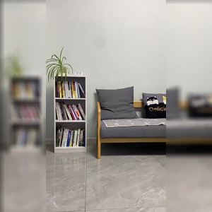 Narrow Space Friendly Multi-level Shelf For Student Use