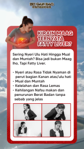 HU GAN BAO - Obat Sakit Liver Hepatitis Sakit Organ Hati dan Memperbaiki Fungsi Hati