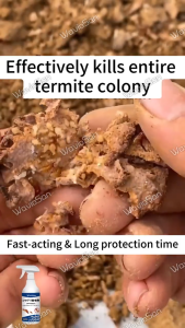 Safe and odorless HD Termite killer for wood Termite killer spray Termite killer Suitable for multiple scenarios kill all termites Ant spray killer insects killer spray 500ML