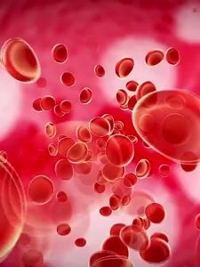 Microscope 40X-3200X with high-definition imaging suitable for all metal body microscopes in scientific toy biology kits