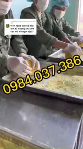 Máy Vo Viên Tinh Bột Nghệ Làm Viên Hoàn Viên Hà Thủ Ô