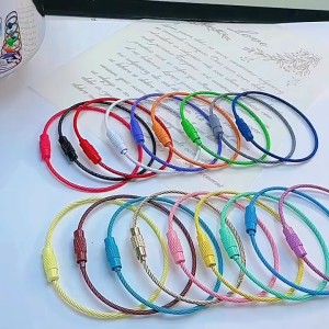10Pcs Colorful Stainless Steel Keychain Ring Stainless Steel Key Chain 50mm Stainless Steel Wire Coil Tag Stainless Steel Wire Keychain for DIY Keychain Souvenir Making Rotating Screw Keyring