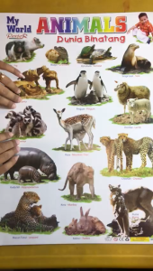 Paket 3 Poster Dinding Edukasi Anak Belajar Mengenal Binatang Angka dan Abjad ABC