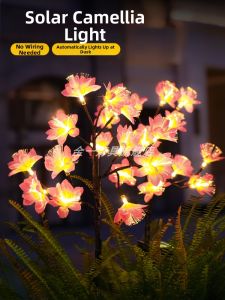 Solar Outdoor Decorative Light