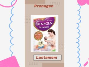 Susu Prenagen Lactamom 360gr: Minuman Konsumsi Ibu Menyusui