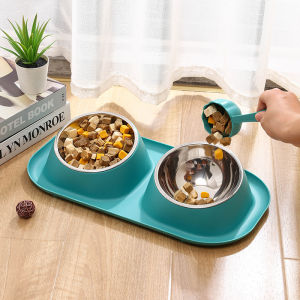 1pc Stainless Steel Double Cat & Dog Bowl: A Comprehensive Guide